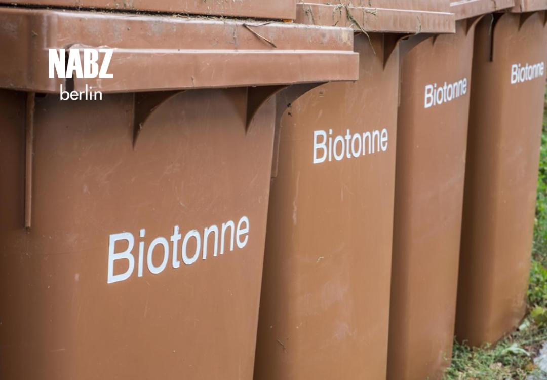 قوانین جدید سطل قهوه‌ای در آلمان: مراقب باشید که جریمه نشوید