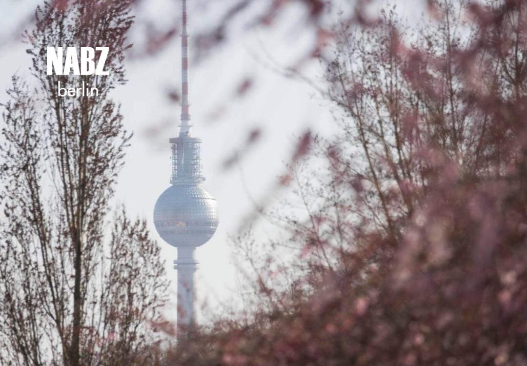 نخستین برف پاییز در آلپ: سرمای شدید در راه برلین