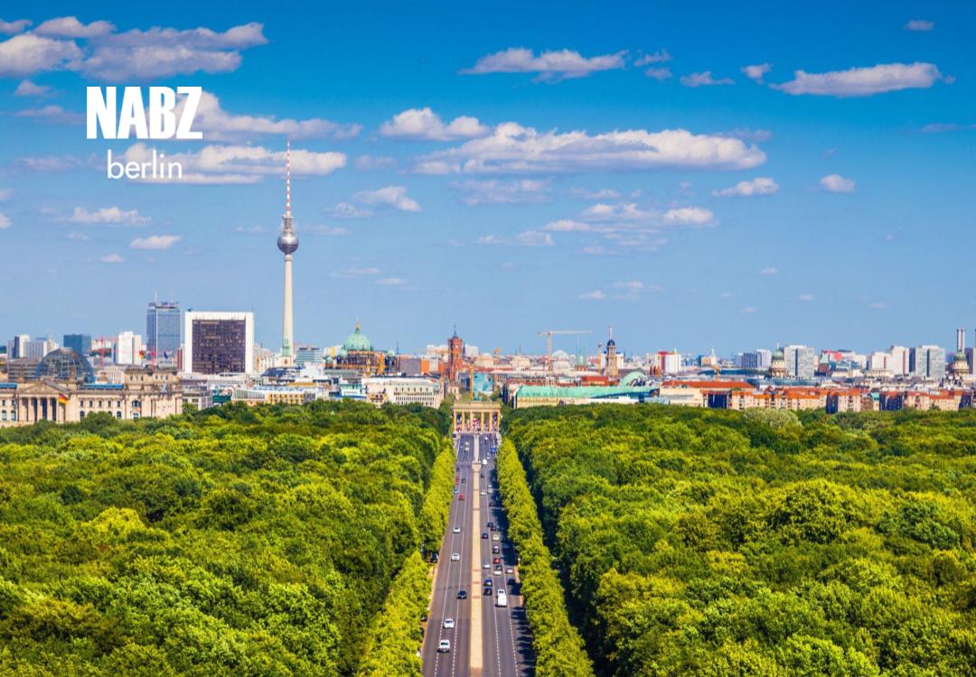 طرح کاشت یک میلیون درخت در خیابان‌های برلین