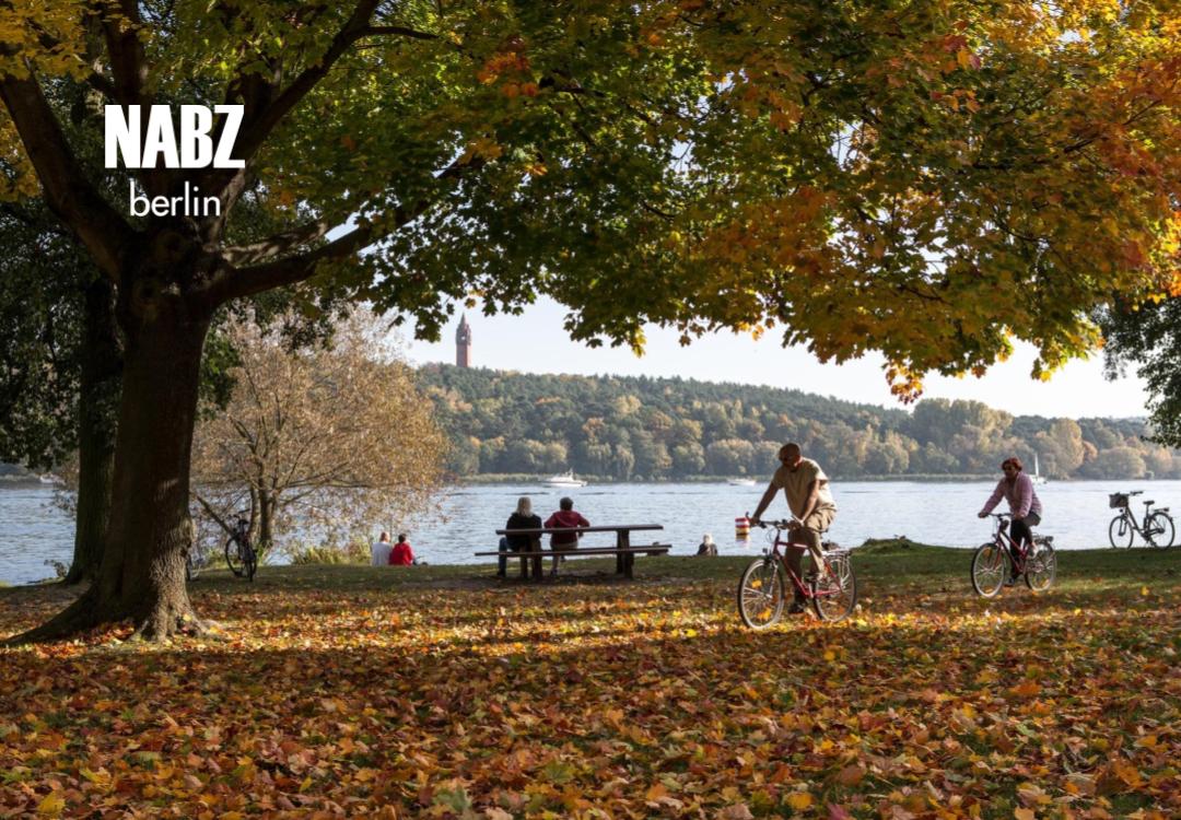 جادوی پاییز در برلین: سه مقصد دل‌انگیز برای آخر هفته