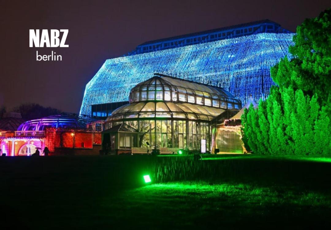 کریسمس گاردن برلین: سفری در دنیای نور