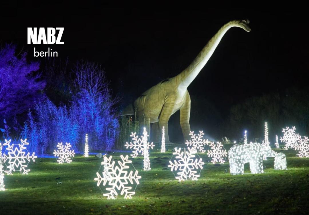 کریسمس در Tierpark برلین: نور، طبیعت، جادو