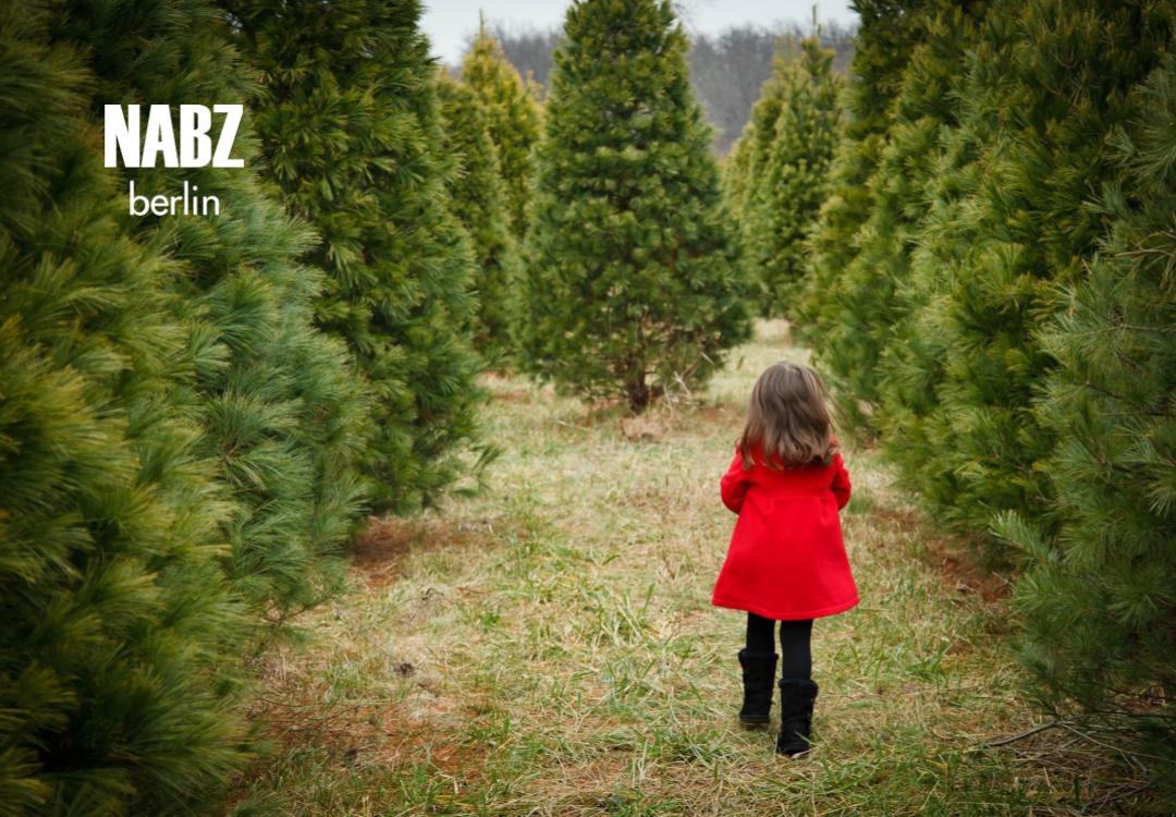 ۴ مکان مخفی در اطراف برلین برای شکار درخت کریسمس: امسال درخت را خودتان ببرید!